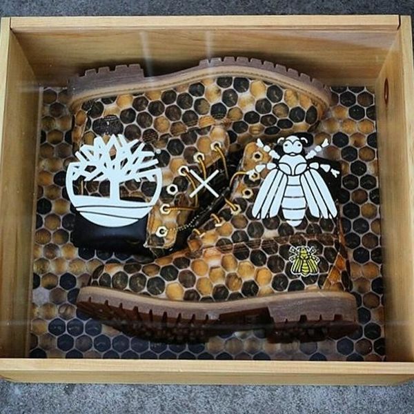 Bee X - Timberland -