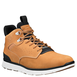 timberland ortho