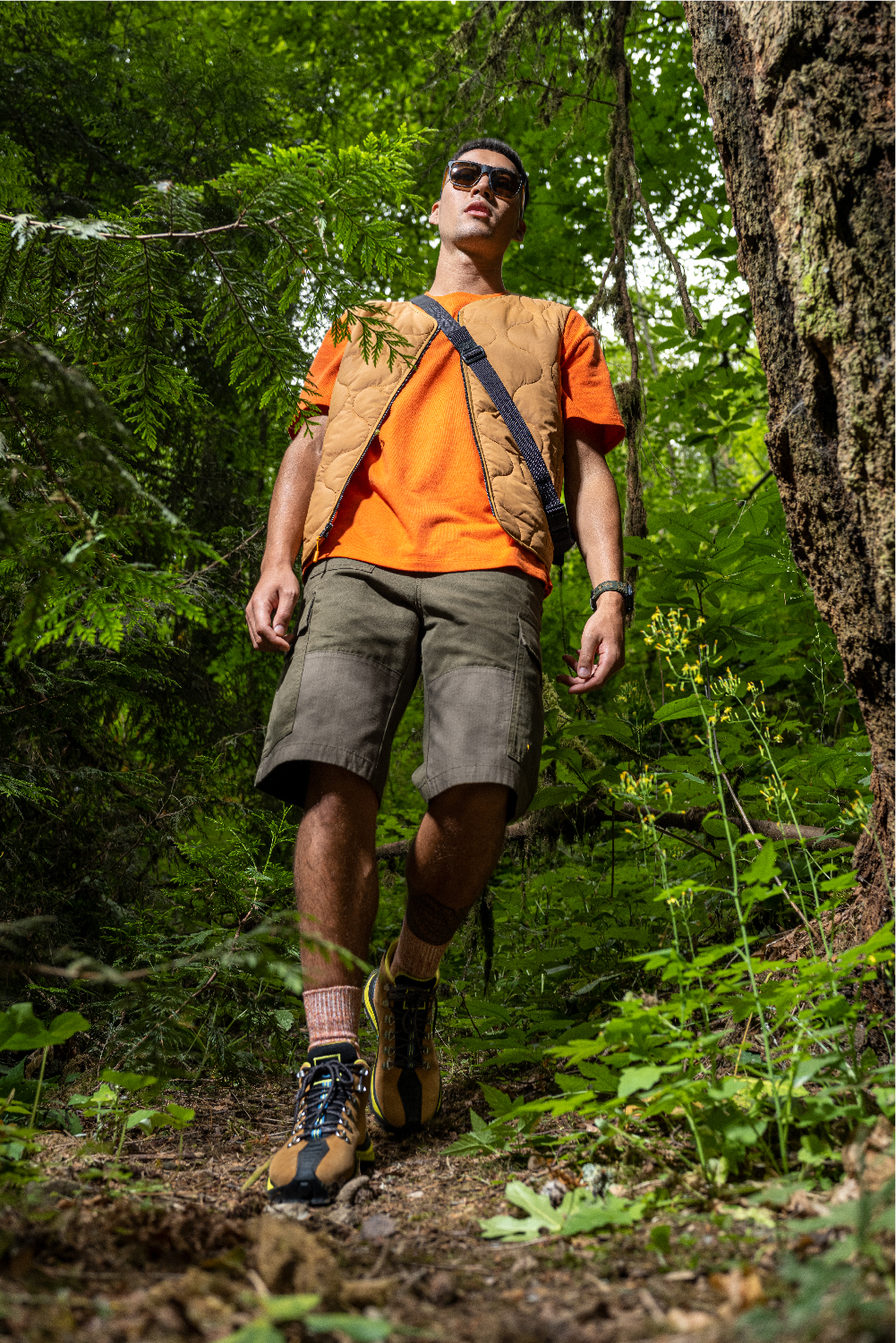 Adventure timberland sales